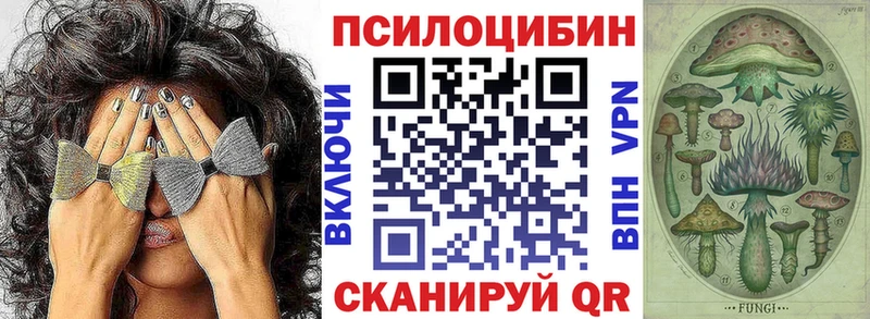 Псилоцибиновые грибы GOLDEN TEACHER Аткарск