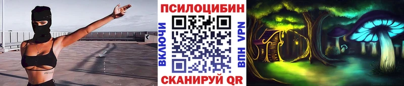 маркетплейс какой сайт  Аткарск  Псилоцибиновые грибы Cubensis 